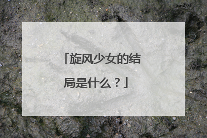 旋风少女的结局是什么？