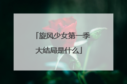 旋风少女第一季大结局是什么