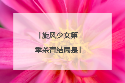 旋风少女第一季杀青结局是