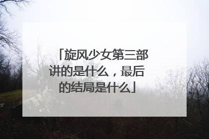 旋风少女第三部讲的是什么,最后的结局是什么