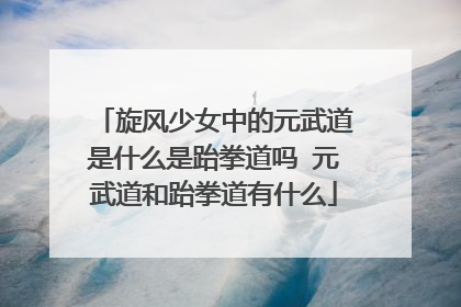 旋风少女中的元武道是什么是跆拳道吗 元武道和跆拳道有什么