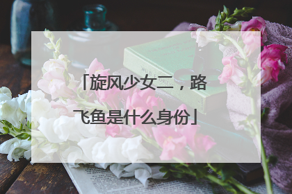 旋风少女二,路飞鱼是什么身份