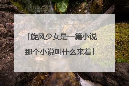 旋风少女是一篇小说 那个小说叫什么来着