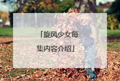 旋风少女每集内容介绍