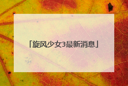 旋风少女3最新消息
