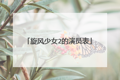 旋风少女2的演员表