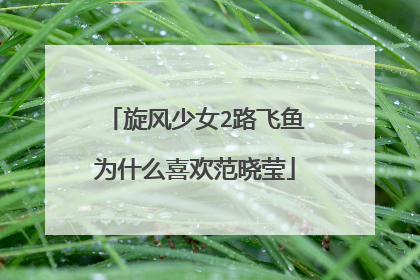 旋风少女2路飞鱼为什么喜欢范晓莹