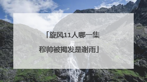 旋风11人哪一集穆帅被揭发是谢雨