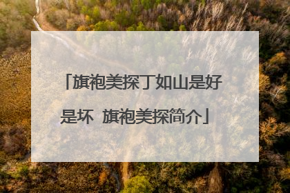 旗袍美探丁如山是好是坏 旗袍美探简介