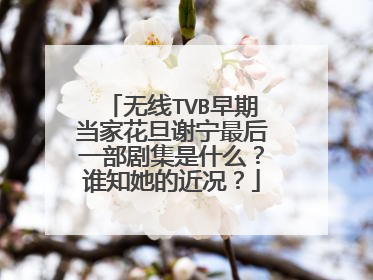无线TVB早期当家花旦谢宁最后一部剧集是什么?谁知她的近况?