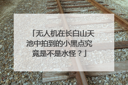 无人机在长白山天池中拍到的小黑点究竟是不是水怪?