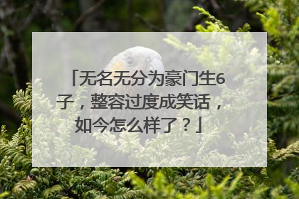 无名无分为豪门生6子,整容过度成笑话,如今怎么样了?