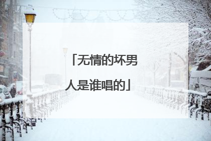 无情的坏男人是谁唱的