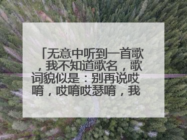 无意中听到一首歌，我不知道歌名，歌词貌似是：别再说哎唷，哎唷哎瑟唷，我来自xxxxxxx。。。求歌
