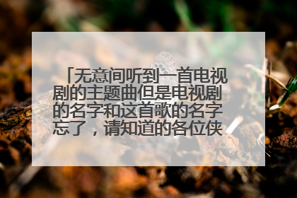 无意间听到一首电视剧的主题曲但是电视剧的名字和这首歌的名字忘了，请知道的各位侠士告诉我！！！