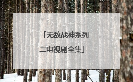 无敌战神系列二电视剧全集