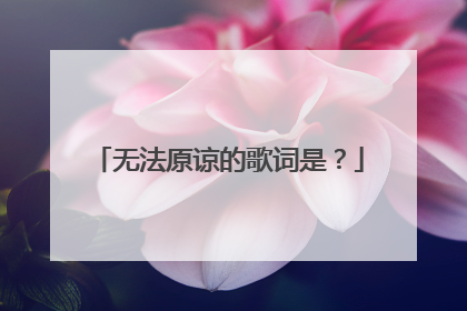 无法原谅的歌词是？