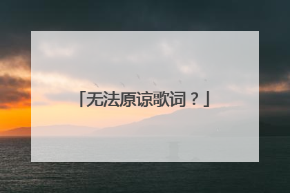 无法原谅歌词?