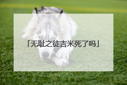 无耻之徒吉米死了吗