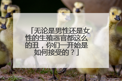无论是男性还是女性的生殖器官都这么的丑，你们一开始是如何接受的？