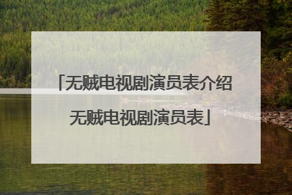 无贼电视剧演员表介绍 无贼电视剧演员表