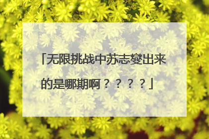 无限挑战中苏志燮出来的是哪期啊????