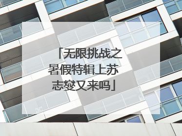 无限挑战之暑假特辑上苏志燮又来吗