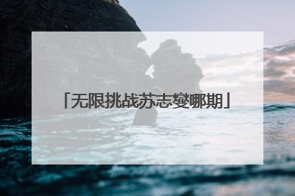 无限挑战苏志燮哪期