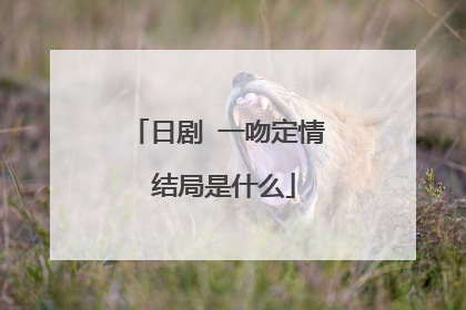日剧 一吻定情 结局是什么