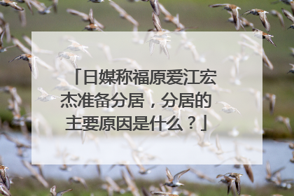 日媒称福原爱江宏杰准备分居,分居的主要原因是什么?