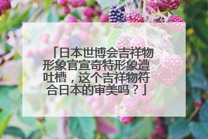 日本世博会吉祥物形象官宣奇特形象遭吐槽，这个吉祥物符合日本的审美吗？