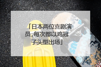 日本两位喜剧演员,每次都以鸡冠子头型出场