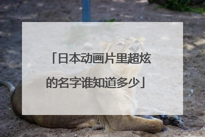 日本动画片里超炫的名字谁知道多少