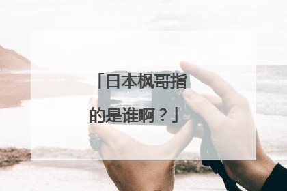 日本枫哥指的是谁啊?