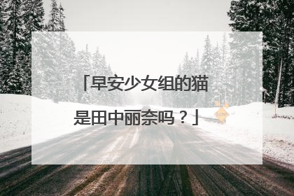 早安少女组的猫是田中丽奈吗?