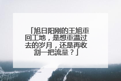 旭日阳刚的王旭重回工地，是想重温过去的岁月，还是再收割一把流量？