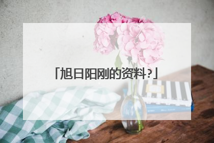 旭日阳刚的资料?