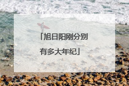 旭日阳刚分别有多大年纪