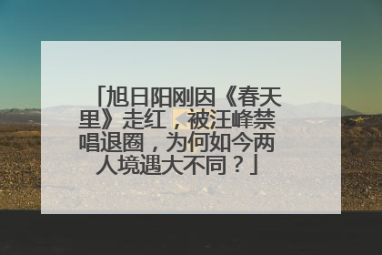 旭日阳刚因《春天里》走红，被汪峰禁唱退圈，为何如今两人境遇大不同？