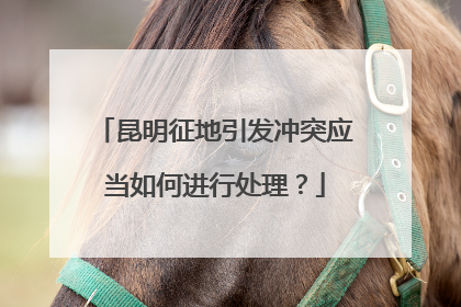 昆明征地引发冲突应当如何进行处理？