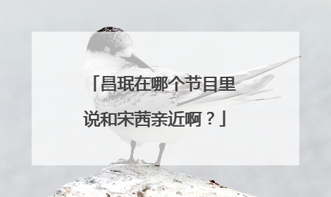 昌珉在哪个节目里说和宋茜亲近啊?