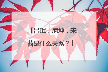 昌珉,尼坤,宋茜是什么关系?