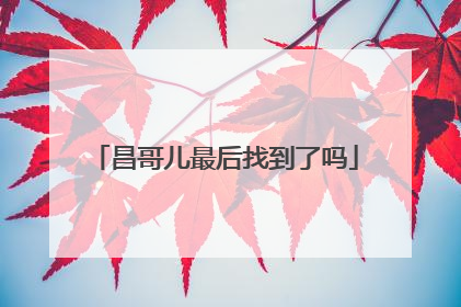 昌哥儿最后找到了吗