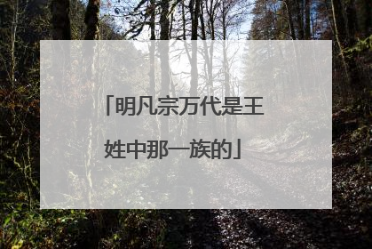 明凡宗万代是王姓中那一族的