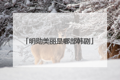 明勋美丽是哪部韩剧