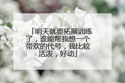 明天就要拓展训练了,谁能帮我想一个带欢的代号,我比较活泼,好动