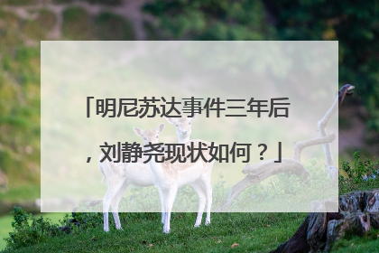 明尼苏达事件三年后,刘静尧现状如何?