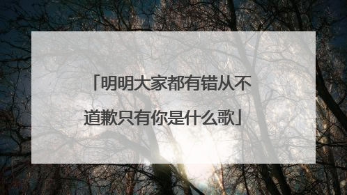 明明大家都有错从不道歉只有你是什么歌
