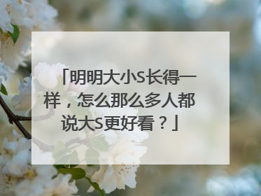 明明大小S长得一样,怎么那么多人都说大S更好看?