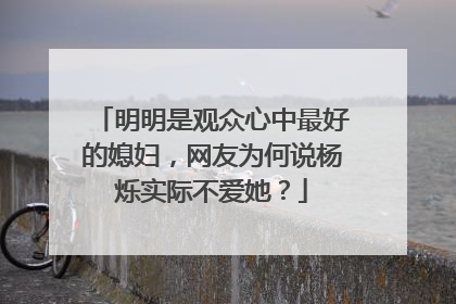 明明是观众心中最好的媳妇,网友为何说杨烁实际不爱她?
